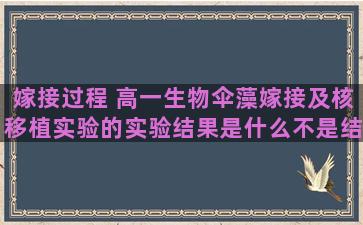 嫁接过程 高一生物伞藻嫁接及核移植实验的实验结果是什么不是结论